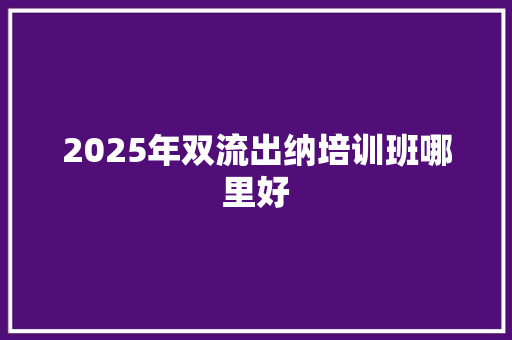 2025年双流出纳培训班哪里好 未命名