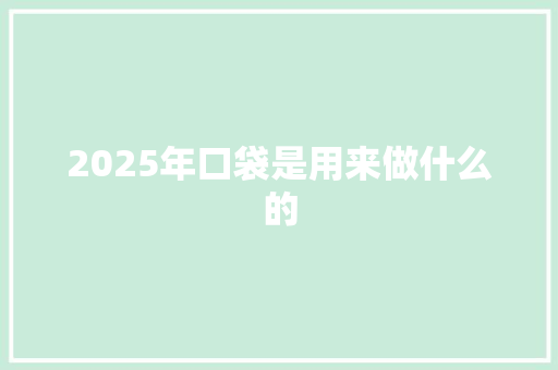 2025年口袋是用来做什么的 未命名