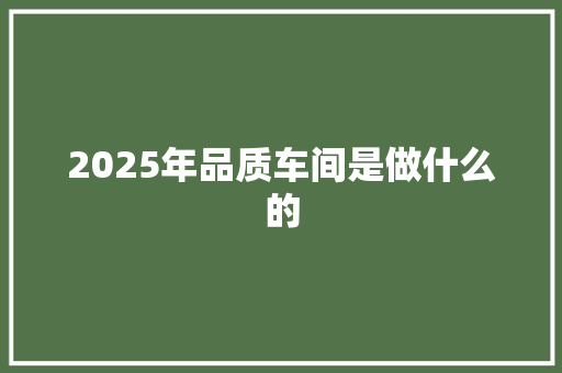 2025年品质车间是做什么的