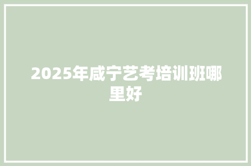 2025年咸宁艺考培训班哪里好