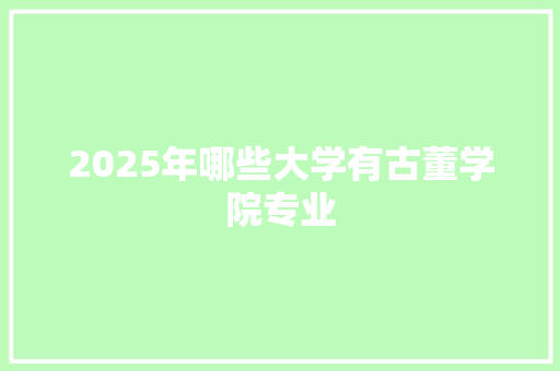 2025年哪些大学有古董学院专业