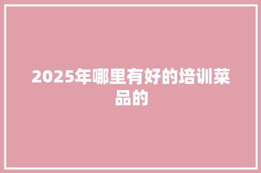 2025年哪里有好的培训菜品的