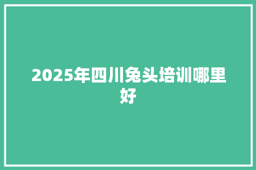 2025年四川兔头培训哪里好