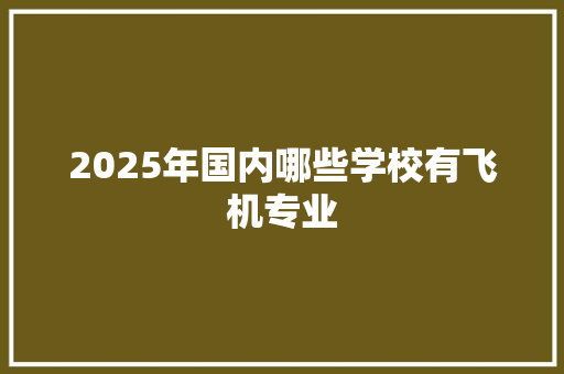 2025年国内哪些学校有飞机专业 未命名