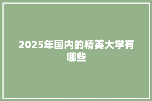 2025年国内的精英大学有哪些