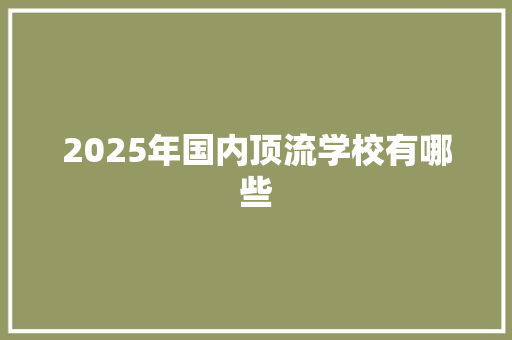 2025年国内顶流学校有哪些