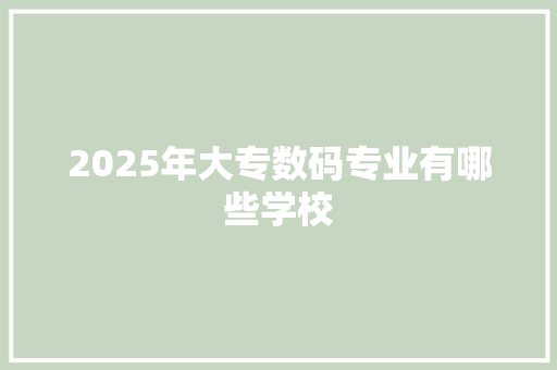 2025年大专数码专业有哪些学校