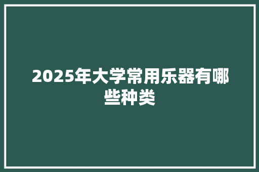 2025年大学常用乐器有哪些种类 未命名