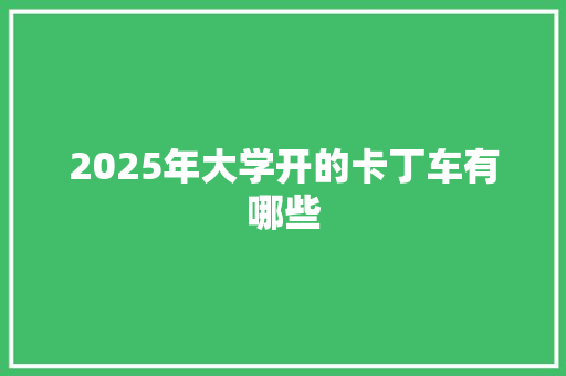 2025年大学开的卡丁车有哪些 未命名