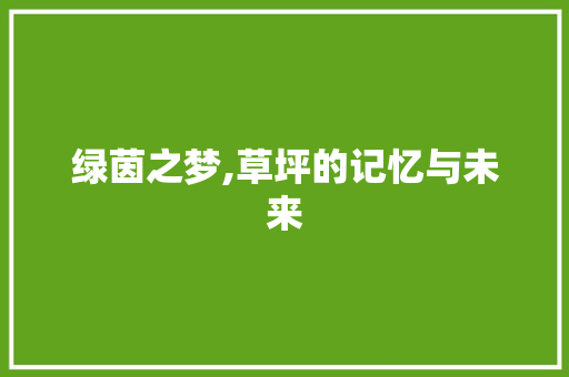 绿茵之梦,草坪的记忆与未来