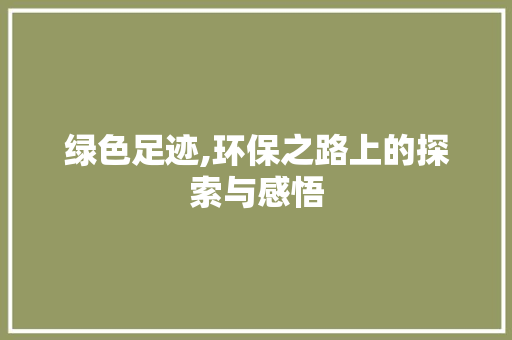 绿色足迹,环保之路上的探索与感悟