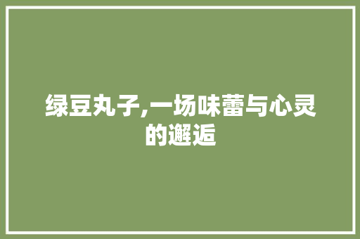 绿豆丸子,一场味蕾与心灵的邂逅