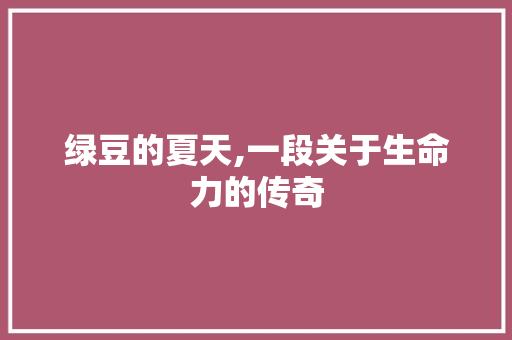 绿豆的夏天,一段关于生命力的传奇