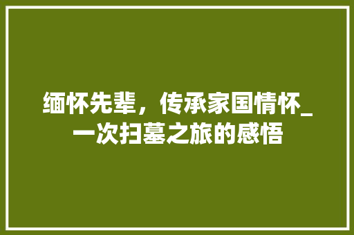 缅怀先辈，传承家国情怀_一次扫墓之旅的感悟