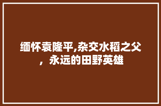 缅怀袁隆平,杂交水稻之父，永远的田野英雄