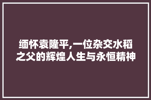 缅怀袁隆平,一位杂交水稻之父的辉煌人生与永恒精神