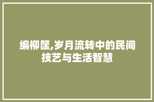 编柳筐,岁月流转中的民间技艺与生活智慧