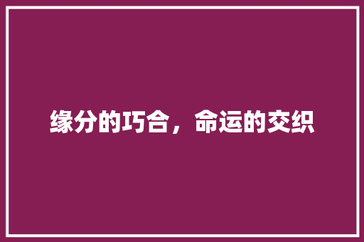 缘分的巧合，命运的交织