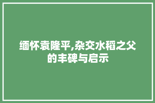 缅怀袁隆平,杂交水稻之父的丰碑与启示