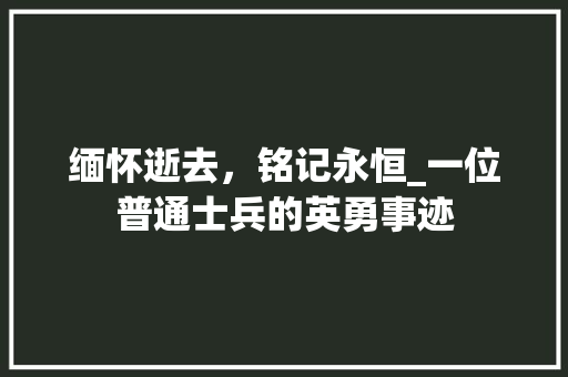 缅怀逝去，铭记永恒_一位普通士兵的英勇事迹