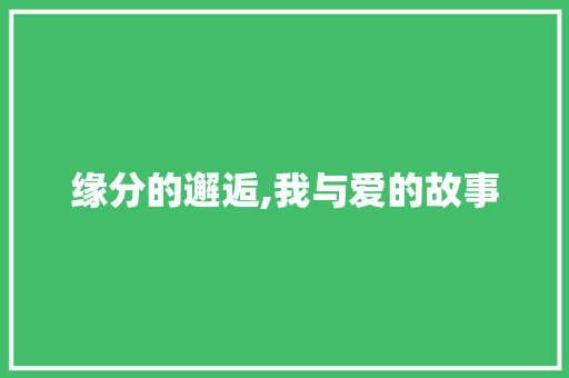 缘分的邂逅,我与爱的故事