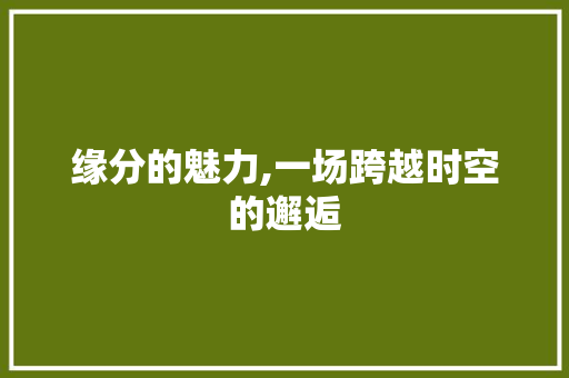 缘分的魅力,一场跨越时空的邂逅