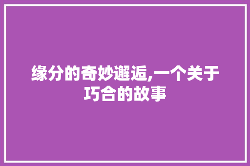 缘分的奇妙邂逅,一个关于巧合的故事