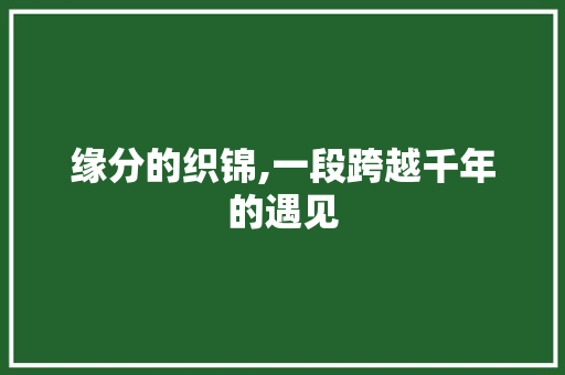 缘分的织锦,一段跨越千年的遇见