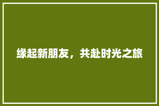 缘起新朋友，共赴时光之旅