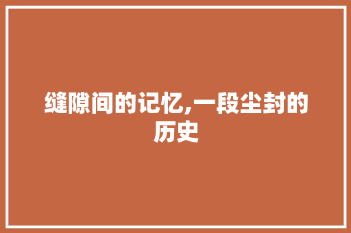 缝隙间的记忆,一段尘封的历史