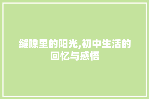 缝隙里的阳光,初中生活的回忆与感悟