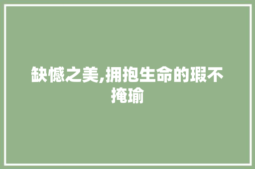 缺憾之美,拥抱生命的瑕不掩瑜