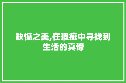 缺憾之美,在瑕疵中寻找到生活的真谛