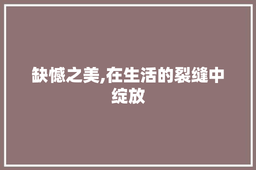 缺憾之美,在生活的裂缝中绽放