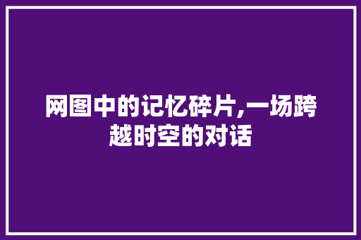 网图中的记忆碎片,一场跨越时空的对话