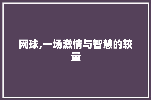 网球,一场激情与智慧的较量