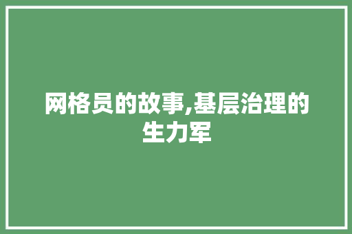 网格员的故事,基层治理的生力军