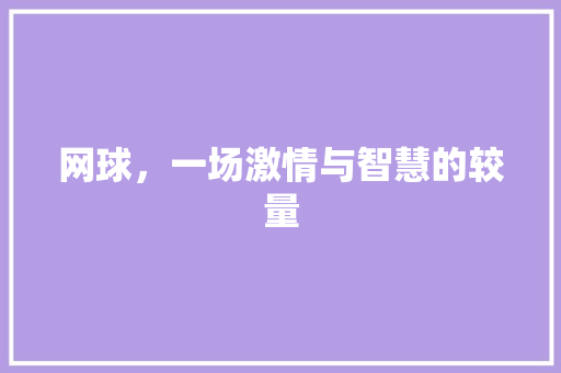 网球，一场激情与智慧的较量