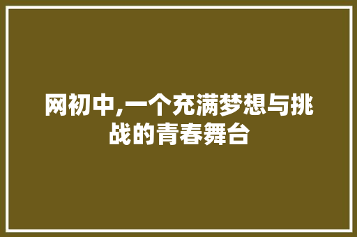 网初中,一个充满梦想与挑战的青春舞台