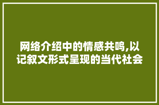 网络介绍中的情感共鸣,以记叙文形式呈现的当代社会现象