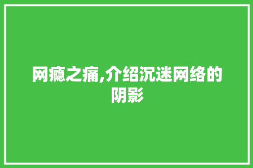 网瘾之痛,介绍沉迷网络的阴影