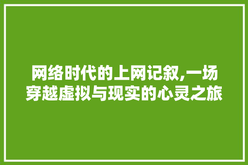 网络时代的上网记叙,一场穿越虚拟与现实的心灵之旅