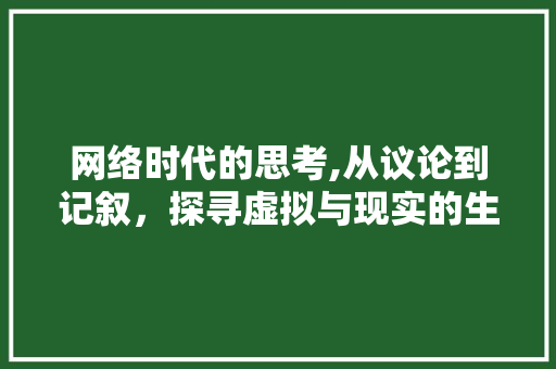 网络时代的思考,从议论到记叙，探寻虚拟与现实的生活轨迹