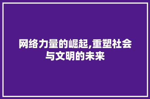 网络力量的崛起,重塑社会与文明的未来