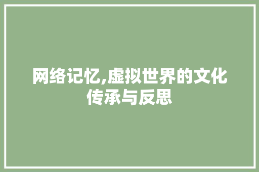 网络记忆,虚拟世界的文化传承与反思