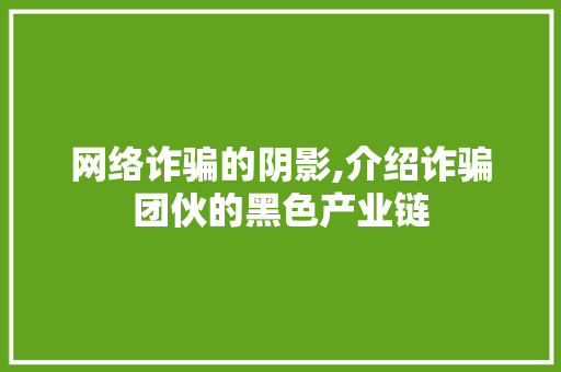 网络诈骗的阴影,介绍诈骗团伙的黑色产业链