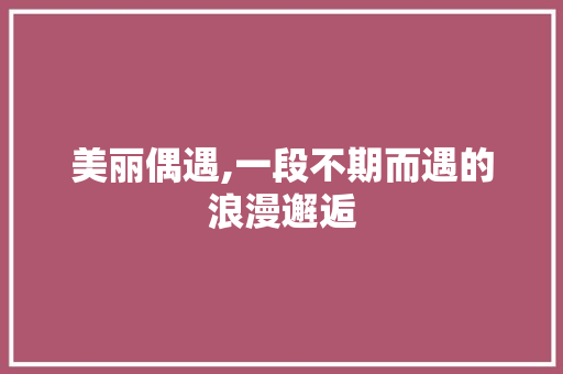 美丽偶遇,一段不期而遇的浪漫邂逅