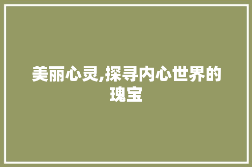 美丽心灵,探寻内心世界的瑰宝