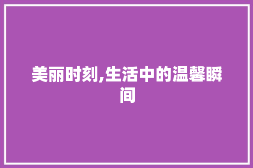 美丽时刻,生活中的温馨瞬间