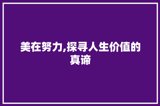 美在努力,探寻人生价值的真谛